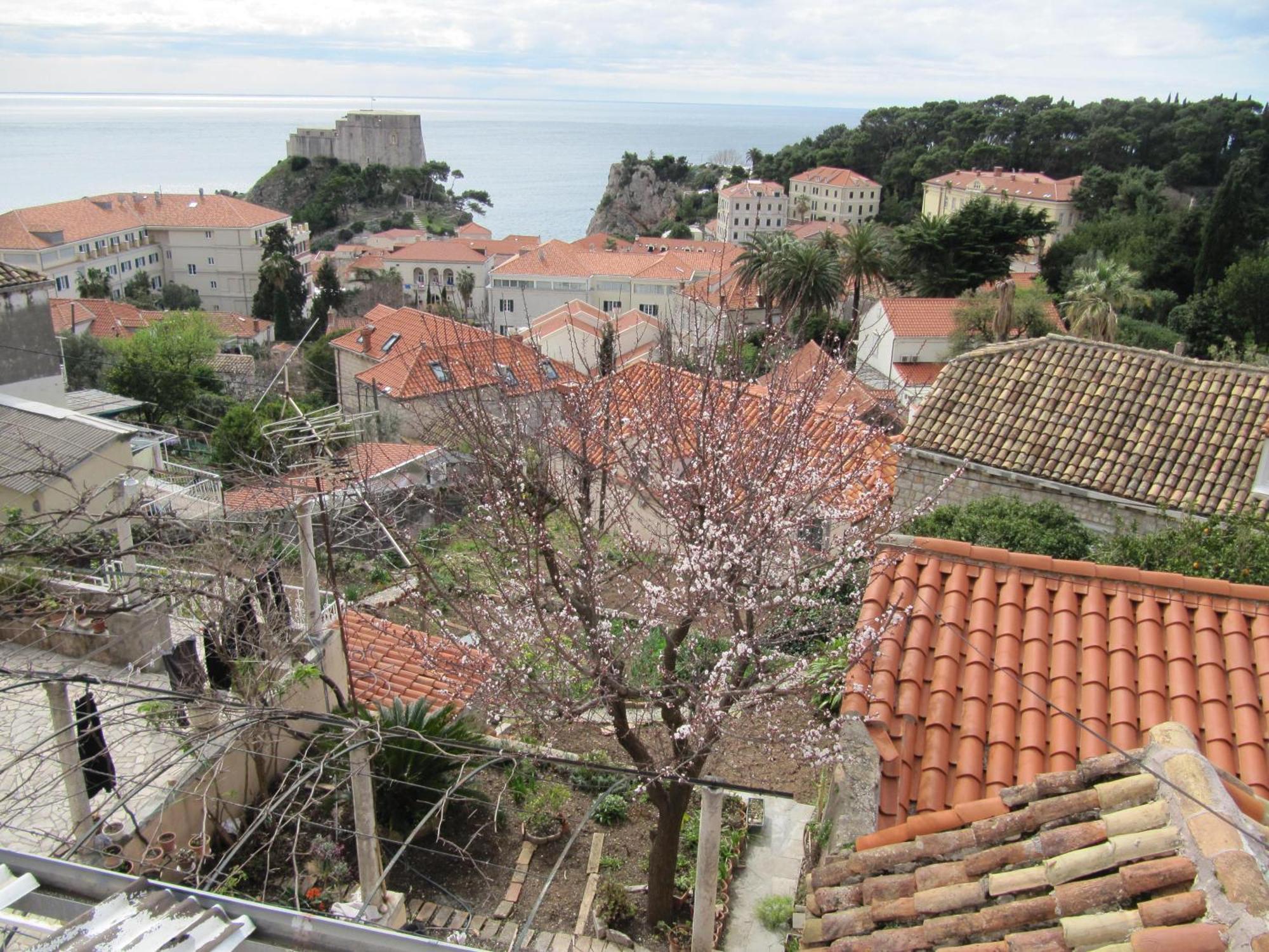 Room & Apartment Saint John Dubrovník Exteriér fotografie